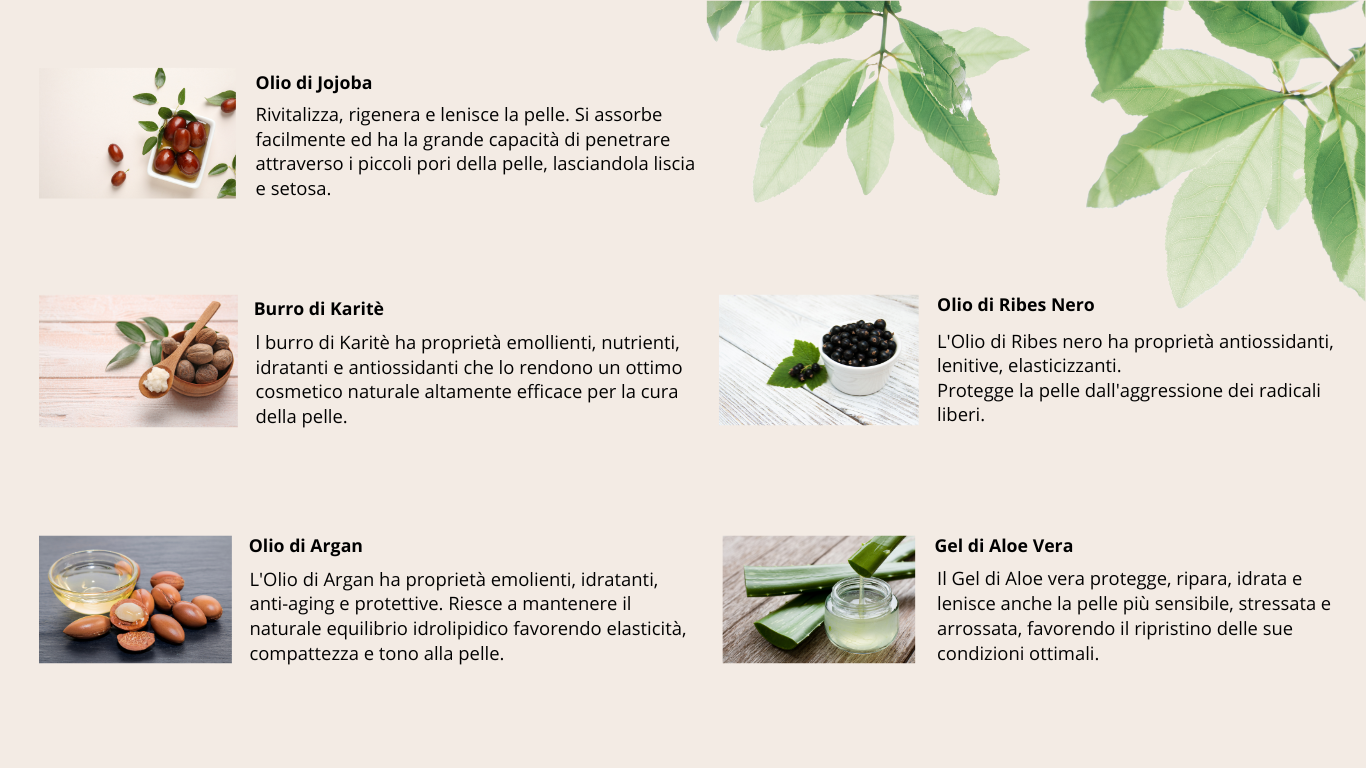 Crema viso idratante all’Olio di Argan e Ribes nero - 50ml